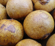 MACAÚBA